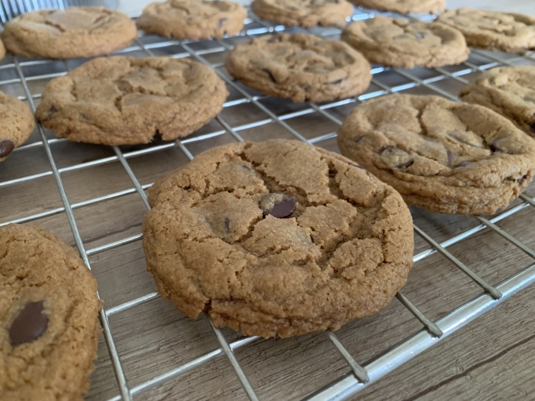 allergy-friendly-choc-chip-cookies-august-2025-2.jpg