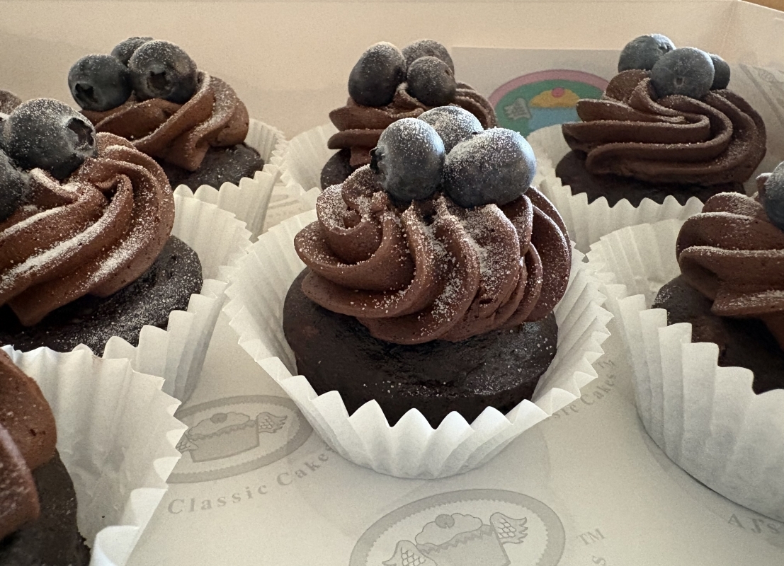 allergy-friendly-chocolate-mini-cake-with-chocolate-frosting-and-fresh-blueberries-march-2026-2.jpeg