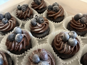 allergy-friendly-chocolate-mini-cake-with-chocolate-frosting-and-fresh-blueberries-march-2026-3.jpeg